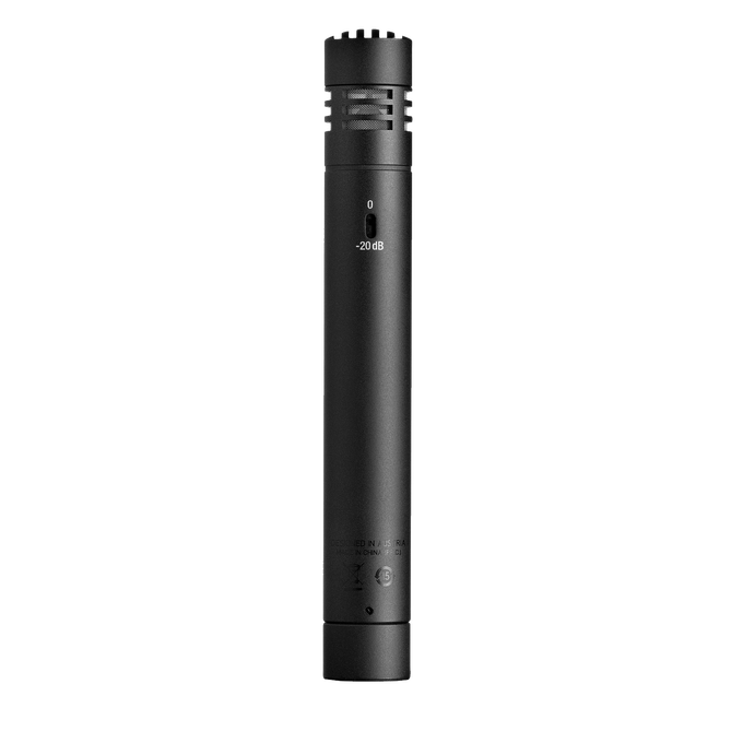 P170 | Leistungsstarkes Instrumentalmikrofon